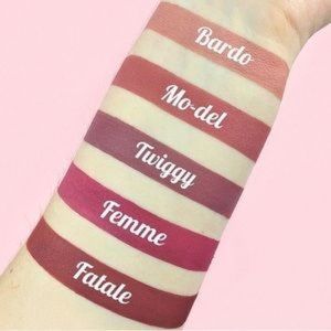 Blinking Beaute Liquid Lipstick in Twiggy NIB